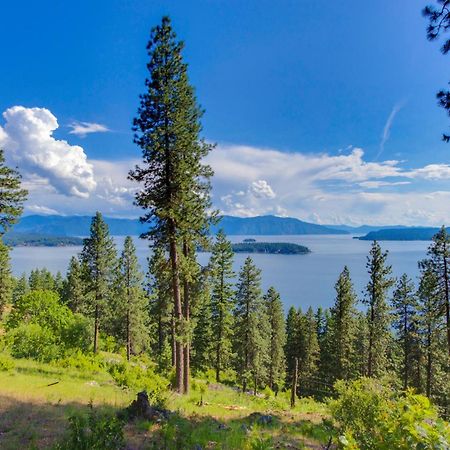 Cozy One Bedroom With Privacy - Community Beach Access Sandpoint Eksteriør billede